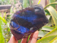 Polished Labradorite One Side Polished x 7 From Tulear, Madagascar - Toprock Gemstones and Minerals 