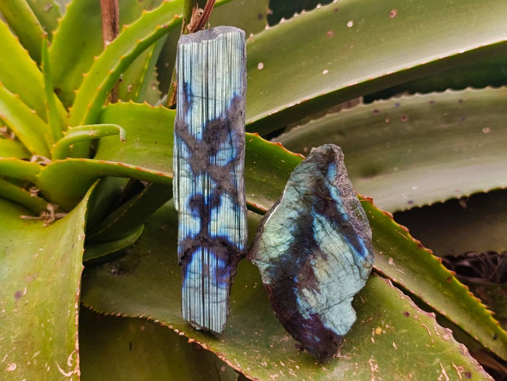 Polished Labradorite One Side Polished x 7 From Tulear, Madagascar - Toprock Gemstones and Minerals 