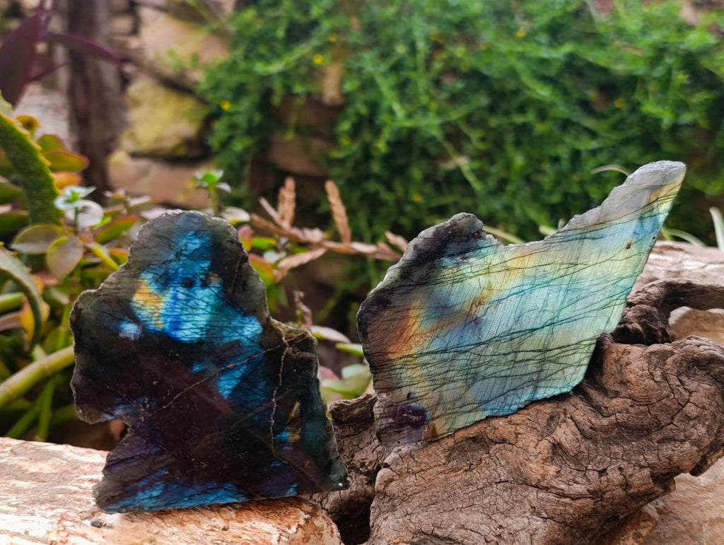 Polished Labradorite One Side Polished x 7 From Tulear, Madagascar - Toprock Gemstones and Minerals 