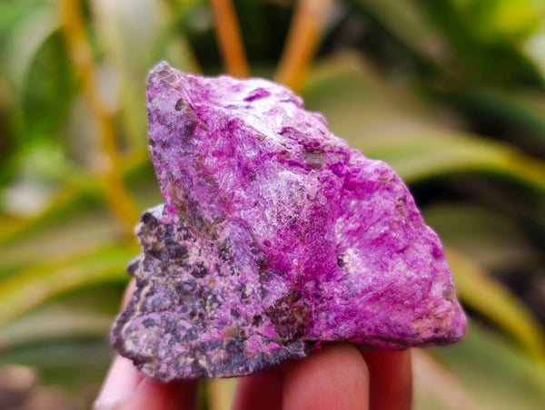 Natural Stichtite Cobbed Specimens x 35 From Barberton, South Africa - Toprock Gemstones and Minerals 