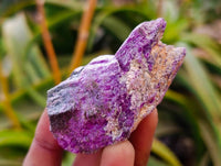 Natural Stichtite Cobbed Specimens x 35 From Barberton, South Africa - Toprock Gemstones and Minerals 