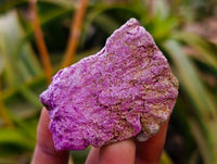 Natural Stichtite Cobbed Specimens x 35 From Barberton, South Africa - Toprock Gemstones and Minerals 