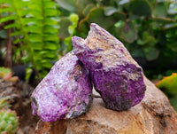Natural Stichtite Cobbed Specimens x 35 From Barberton, South Africa - Toprock Gemstones and Minerals 
