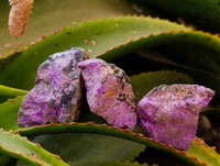 Natural Stichtite Cobbed Specimens x 35 From Barberton, South Africa - Toprock Gemstones and Minerals 