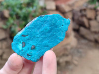 Natural Botryoidal Malacolla Specimens x 12 From Kulukuluku, Congo