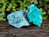 Natural Botryoidal Malacolla Specimens x 12 From Kulukuluku, Congo