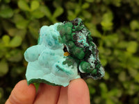 Natural Botryoidal Malacolla Specimens x 12 From Kulukuluku, Congo