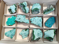 Natural Botryoidal Malacolla Specimens x 12 From Kulukuluku, Congo
