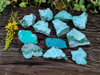 Natural Botryoidal Malacolla Specimens x 12 From Kulukuluku, Congo