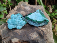 Natural Botryoidal Malacolla Specimens x 12 From Kulukuluku, Congo