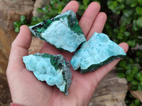 Natural Botryoidal Malacolla Specimens x 12 From Kulukuluku, Congo