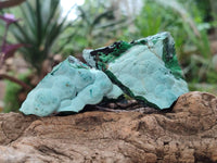 Natural Botryoidal Malacolla Specimens x 12 From Kulukuluku, Congo