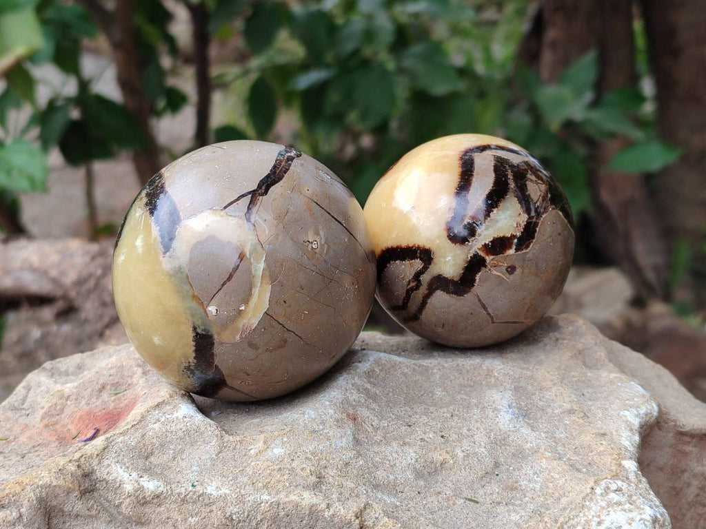 Polished Septerye Spheres x 6 From Mahajanga, Madagascar - Toprock Gemstones and Minerals 