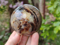 Polished Septerye Spheres x 6 From Mahajanga, Madagascar