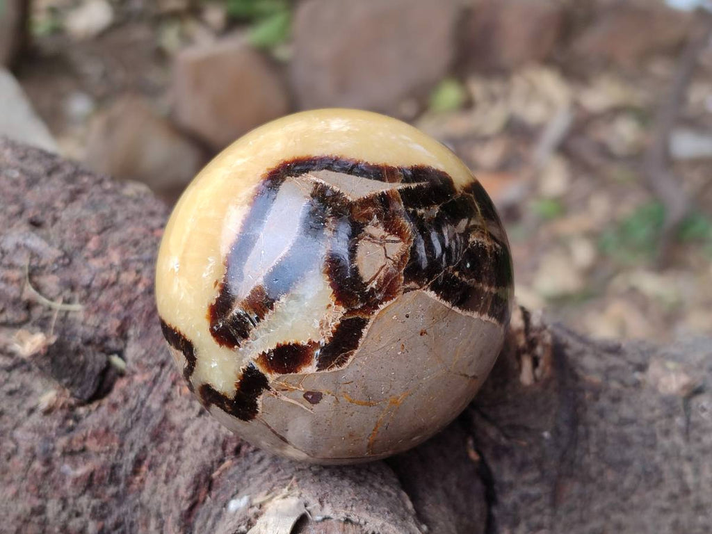 Polished Septerye Spheres x 6 From Mahajanga, Madagascar - Toprock Gemstones and Minerals 