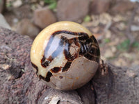 Polished Septerye Spheres x 6 From Mahajanga, Madagascar