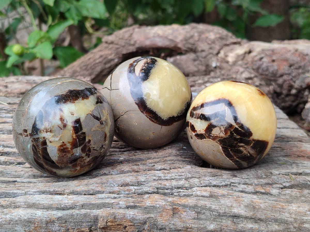 Polished Septerye Spheres x 6 From Mahajanga, Madagascar - Toprock Gemstones and Minerals 
