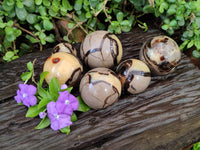 Polished Septerye Spheres x 6 From Mahajanga, Madagascar