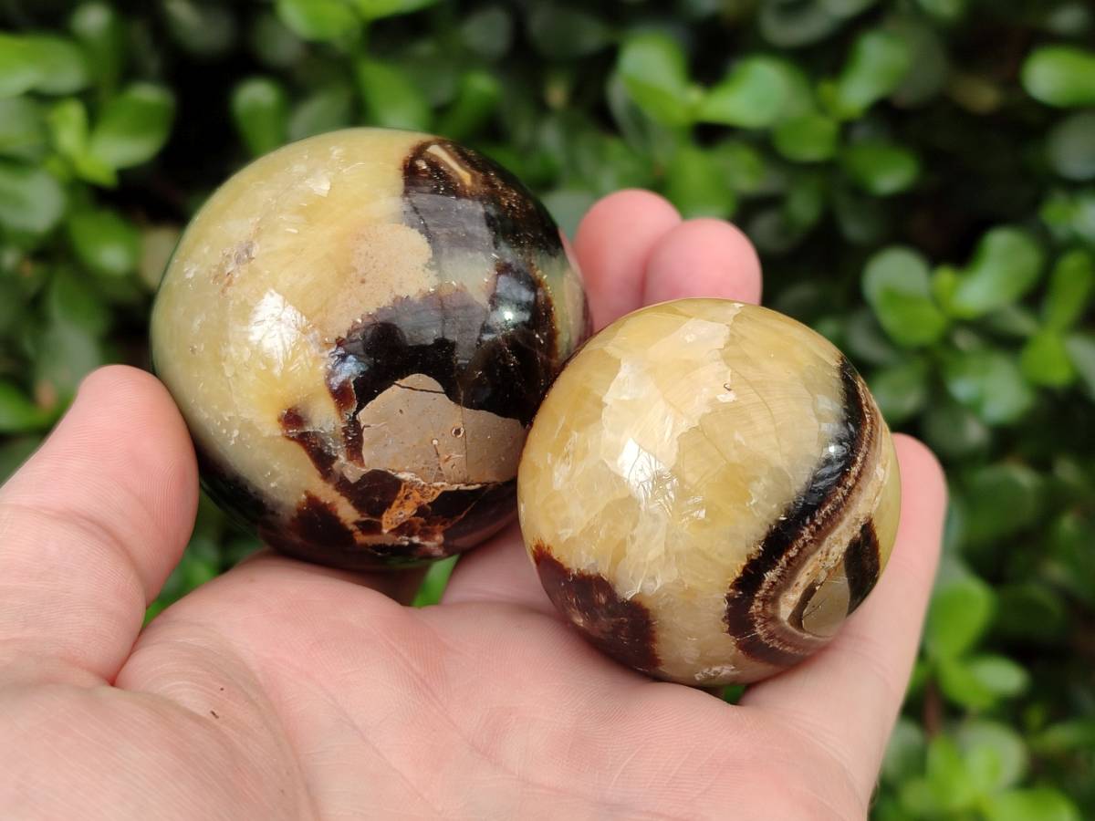 Polished Septerye Spheres x 6 From Mahajanga, Madagascar - Toprock Gemstones and Minerals 