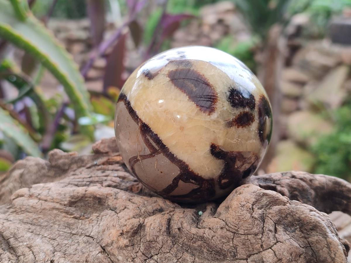 Polished Septerye Spheres x 6 From Mahajanga, Madagascar - Toprock Gemstones and Minerals 