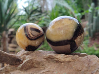 Polished Septerye Spheres x 6 From Mahajanga, Madagascar