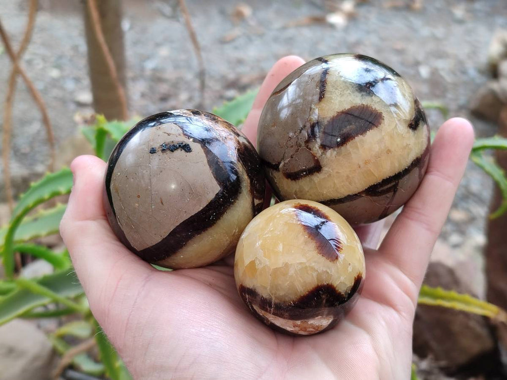 Polished Septerye Spheres x 6 From Mahajanga, Madagascar - Toprock Gemstones and Minerals 