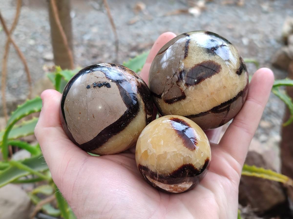 Polished Septerye Spheres x 6 From Mahajanga, Madagascar - Toprock Gemstones and Minerals 