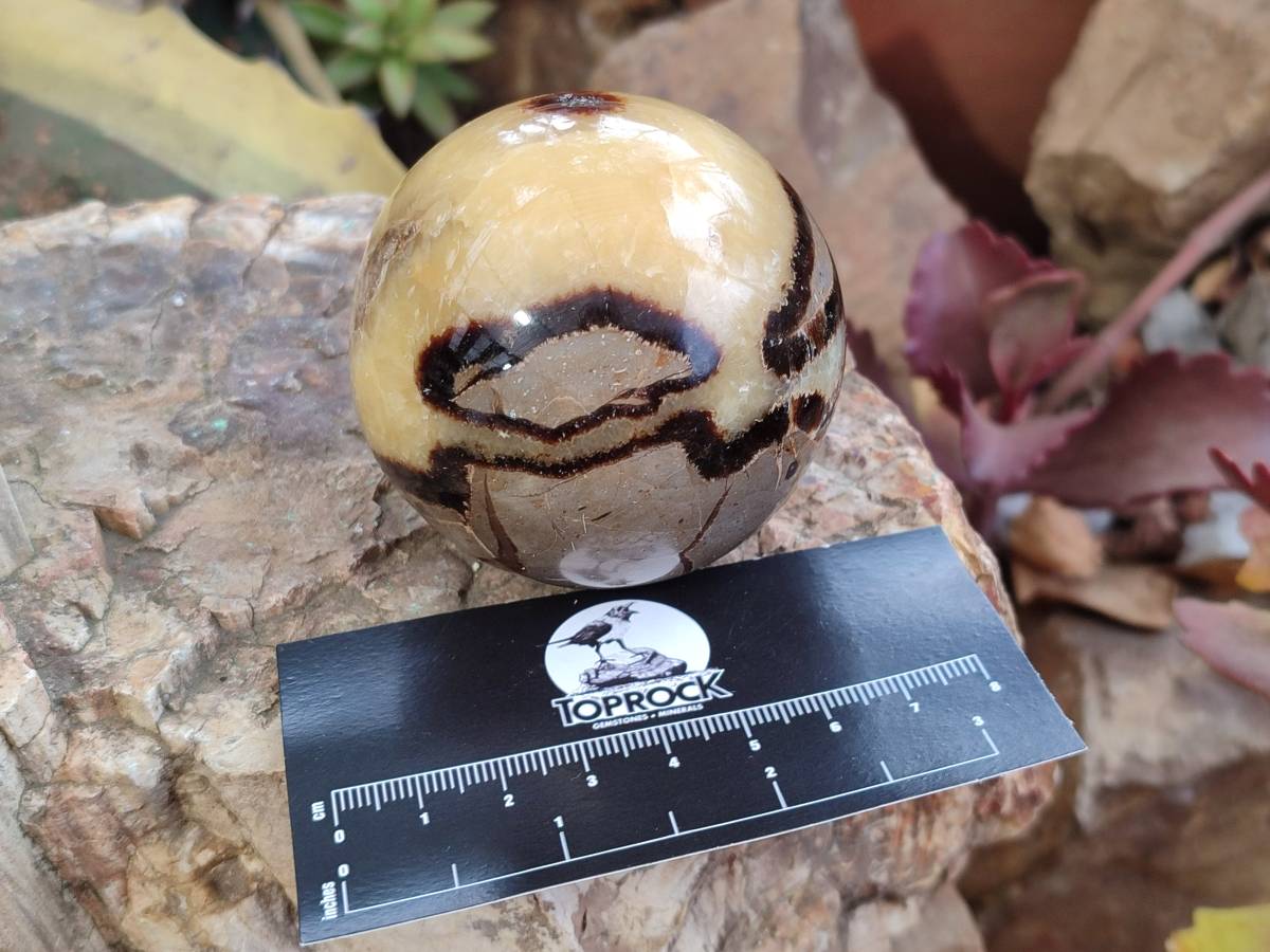 Polished Septerye Spheres x 6 From Mahajanga, Madagascar - Toprock Gemstones and Minerals 