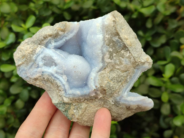 Natural Blue Lace Agate Geode Specimens x 9 From Nsanje, Malawi