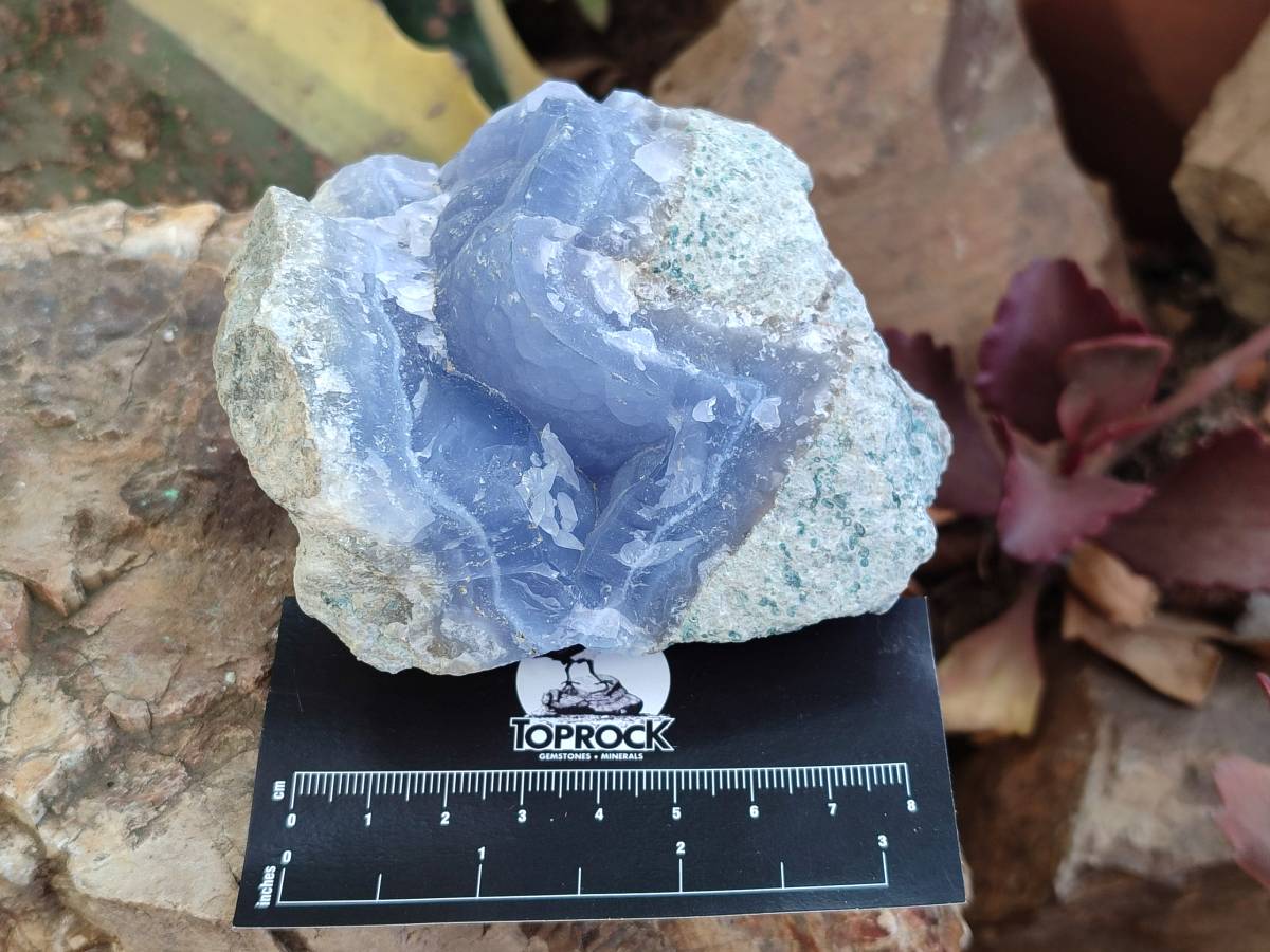 Natural Blue Lace Agate Geode Specimens x 9 From Nsanje, Malawi - Toprock Gemstones and Minerals 
