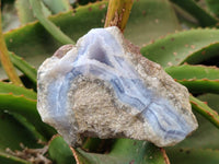 Natural Blue Lace Agate Geode Specimens x 9 From Nsanje, Malawi