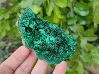 Natural Silky Malachite Specimens x 6 From Kasompe, Congo