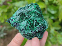 Natural Silky Malachite Specimens x 6 From Kasompe, Congo