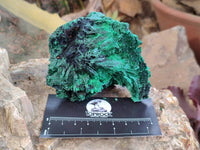 Natural Silky Malachite Specimens x 6 From Kasompe, Congo