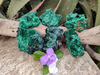 Natural Silky Malachite Specimens x 6 From Kasompe, Congo