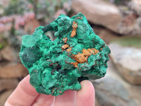 Natural Silky Malachite Specimens x 6 From Kasompe, Congo
