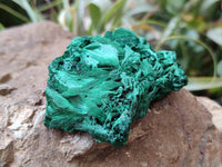 Natural Silky Malachite Specimens x 6 From Kasompe, Congo