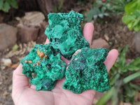 Natural Silky Malachite Specimens x 6 From Kasompe, Congo