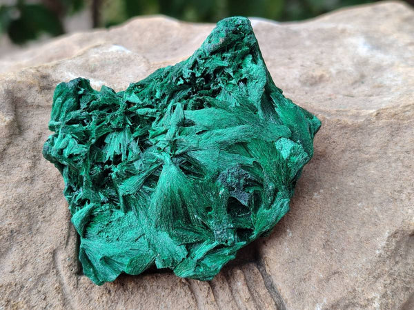 Natural Silky Malachite Specimens x 6 From Kasompe, Congo