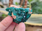 Natural Dioptase On Dolomite Specimens x 12 From Likasi, Congo - Toprock Gemstones and Minerals 