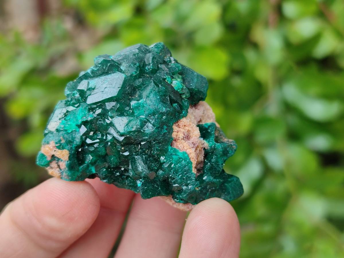 Natural Dioptase On Dolomite Specimens x 12 From Likasi, Congo - Toprock Gemstones and Minerals 