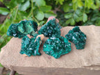 Natural Dioptase On Dolomite Specimens x 12 From Likasi, Congo - Toprock Gemstones and Minerals 