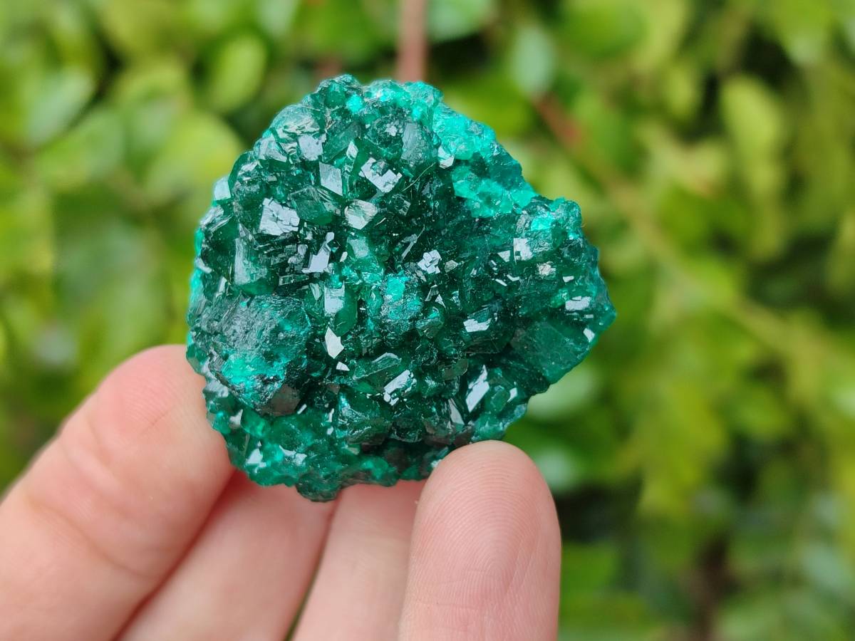 Natural Dioptase On Dolomite Specimens x 12 From Likasi, Congo - Toprock Gemstones and Minerals 
