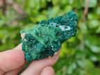 Natural Dioptase On Dolomite Specimens x 12 From Likasi, Congo - Toprock Gemstones and Minerals 