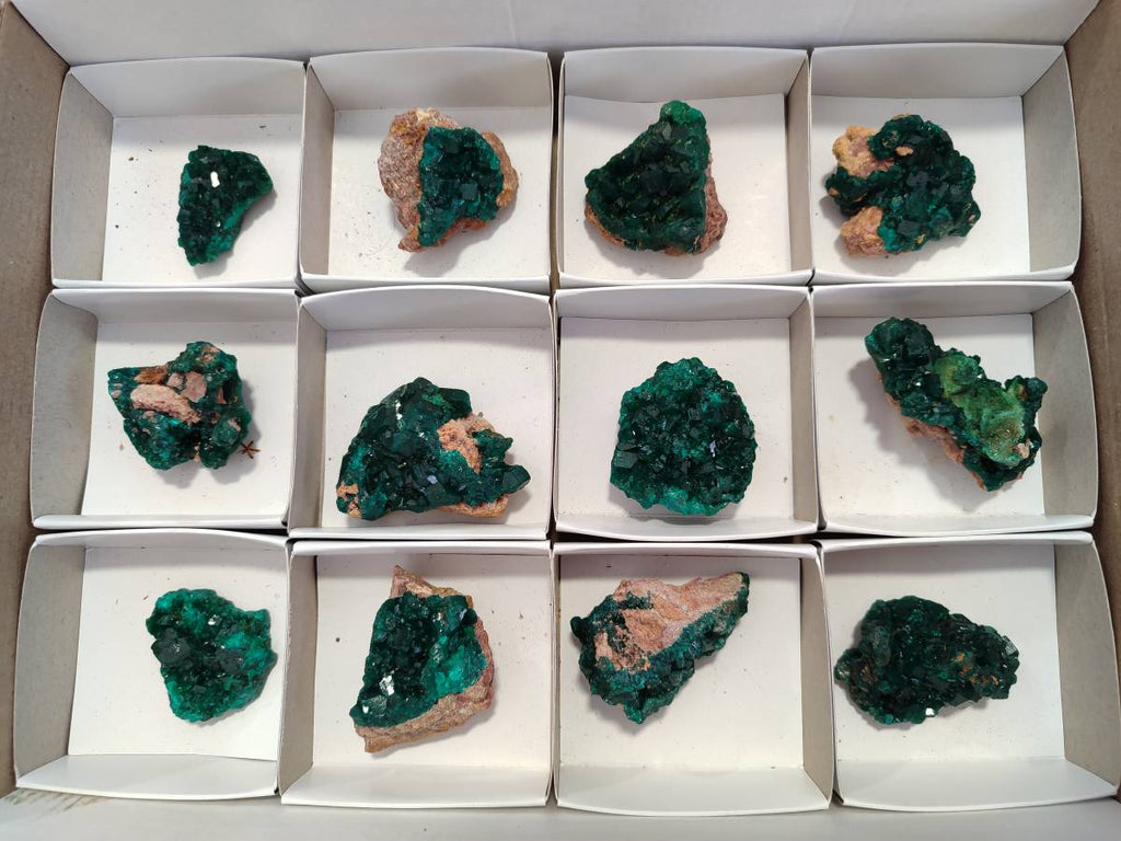 Natural Dioptase On Dolomite Specimens x 12 From Likasi, Congo - Toprock Gemstones and Minerals 