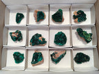 Natural Dioptase On Dolomite Specimens x 12 From Likasi, Congo - Toprock Gemstones and Minerals 