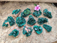 Natural Dioptase On Dolomite Specimens x 12 From Likasi, Congo - Toprock Gemstones and Minerals 