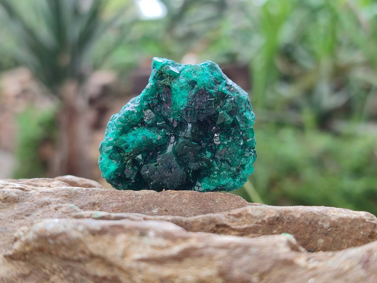 Natural Dioptase On Dolomite Specimens x 12 From Likasi, Congo - Toprock Gemstones and Minerals 
