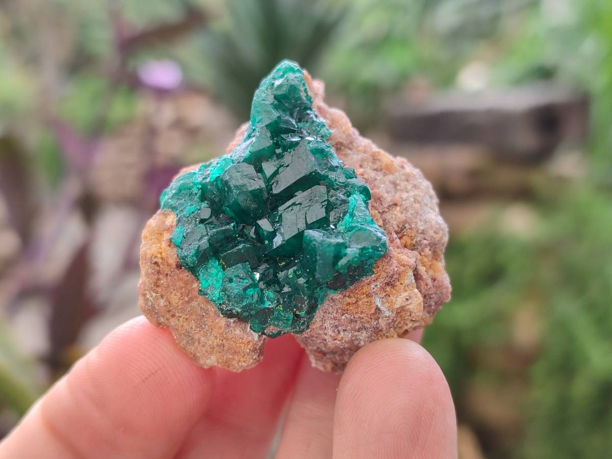 Natural Dioptase On Dolomite Specimens x 12 From Likasi, Congo - Toprock Gemstones and Minerals 