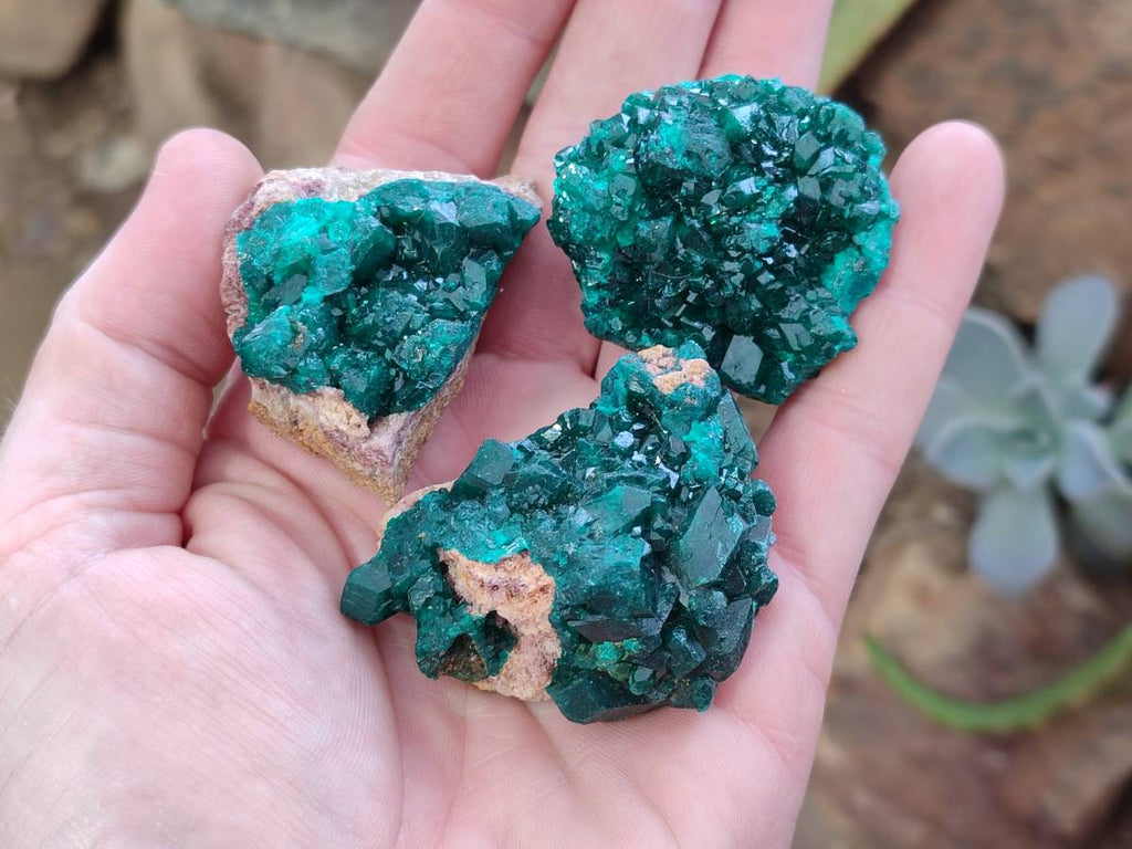 Natural Dioptase On Dolomite Specimens x 12 From Likasi, Congo - Toprock Gemstones and Minerals 